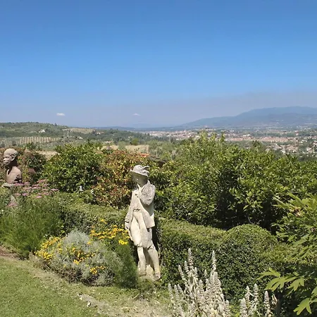 Tuscany Roses * Arezzo