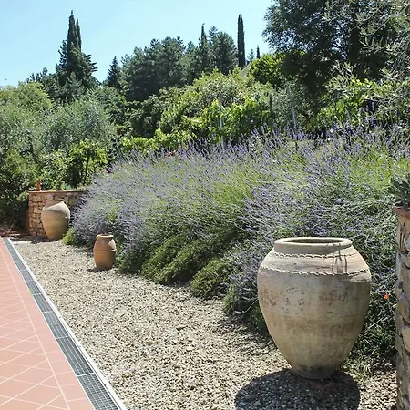 Willa Tuscany Roses