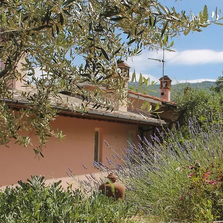 Tuscany Roses Willa