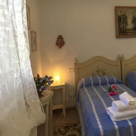 Willa Tuscany Roses