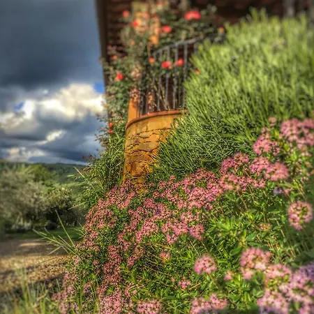 Tuscany Roses Arezzo